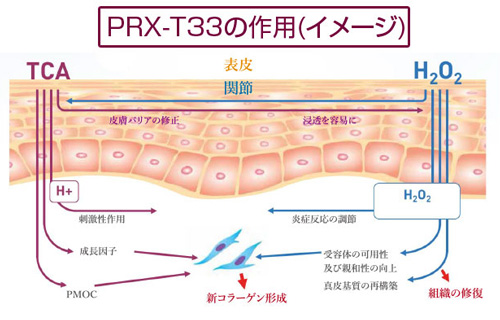 PRX-T33作用　イメージ